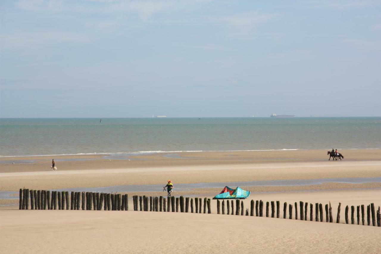 O De Mer - A 20M De La Plage Sangatte Ngoại thất bức ảnh